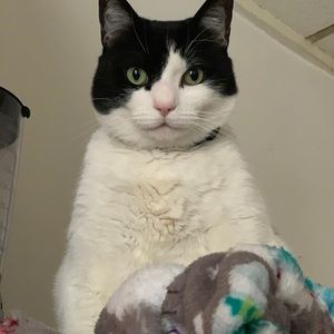 Meet your Posher, David